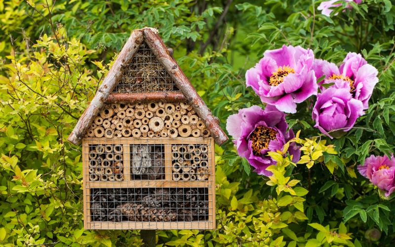 Au jardin, un bel hôtel pour d'utiles petites bêtes