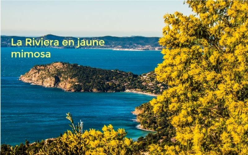 Multimedia: partez en escapade sur la route du Mimosa