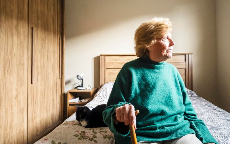 Je peux amener mon animal de compagnie en Ehpad, vrai ou faux?