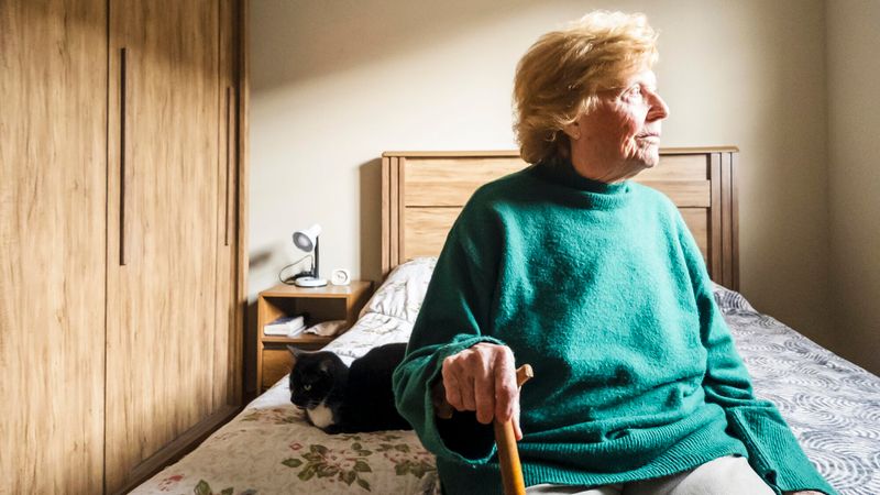 animal compagnie ehpad senior chambre