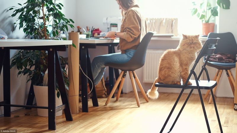 Comment rester longtemps assis sans avoir mal