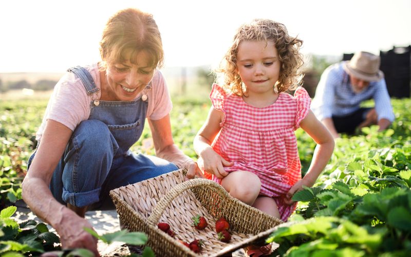 Pouvoir d'achat: tous à la cueillette!
