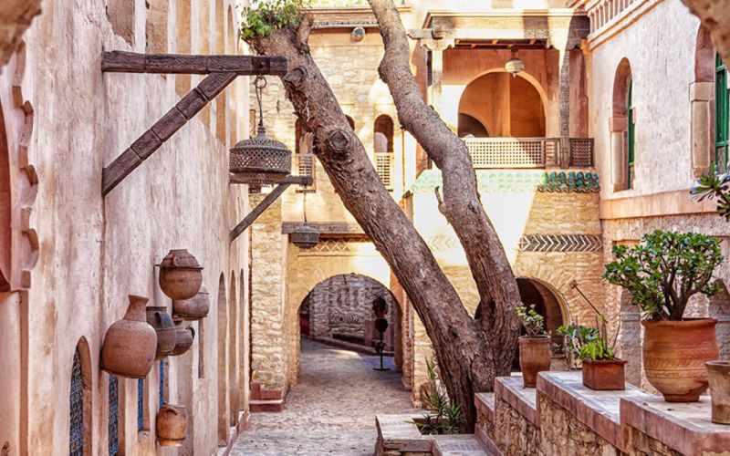 Evasion: à la découverte d'Agadir et de sa région