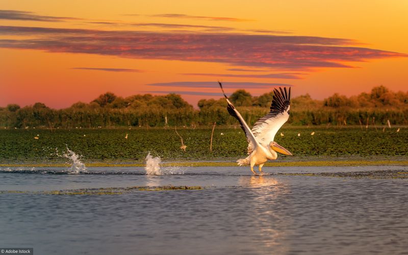 Évasion: direction le delta du Danube