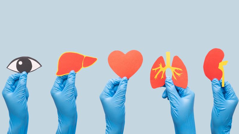 greffe organe transplantation