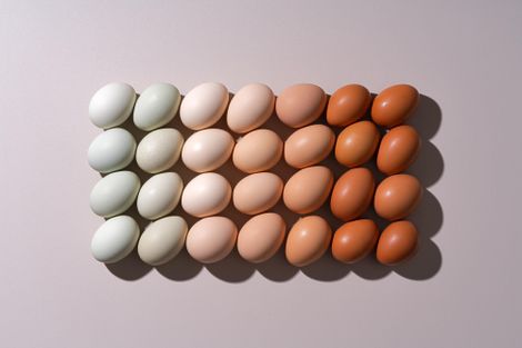 Illustration d'oeufs