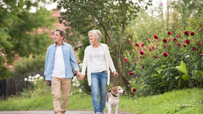 Illustration d'un couple de senior en train de marcher