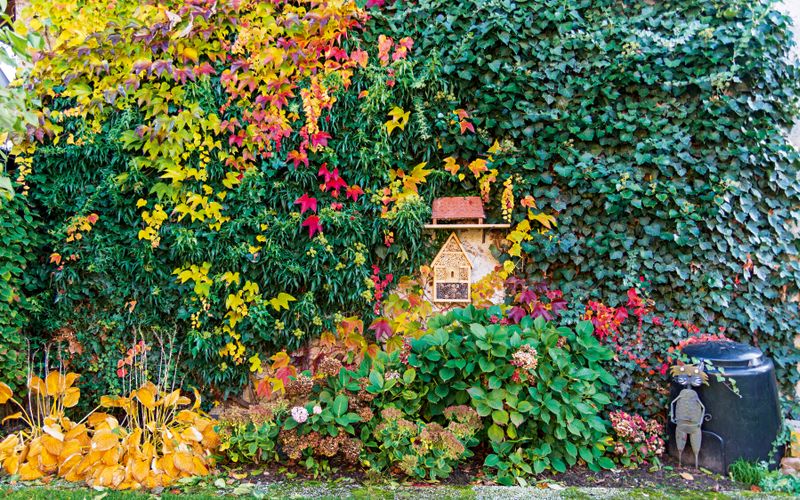 Arbres nourriciers, haie bocagère, permaculture… Restaurons la vie dans nos jardins!