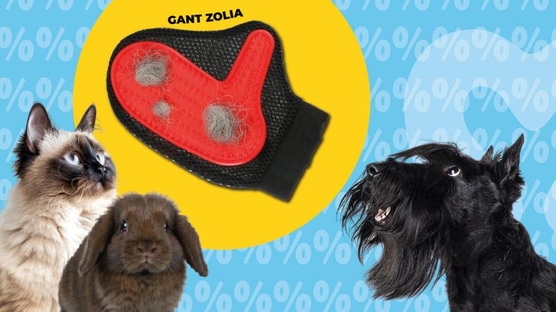 Jusqu’à lundi, profitez d’un gant anti-poils offerts pour chouchouter votre animal et tentez de gagner votre commande !