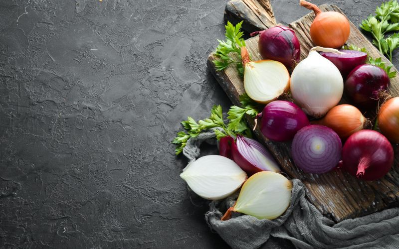 L'oignon, la star des potagers