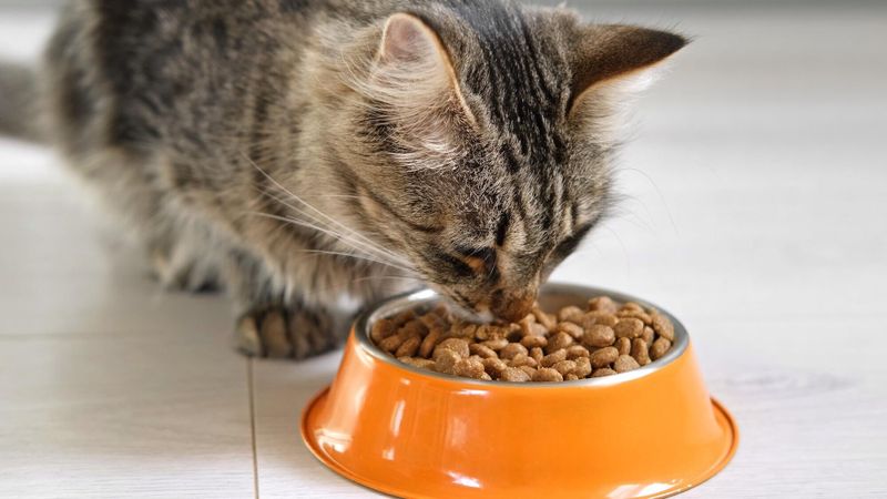 Meilleurs lave-vaisselles 2025 : notre sélection complète