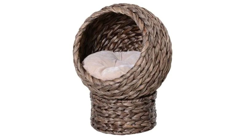 Offrez un cocon design et douillet à votre chat