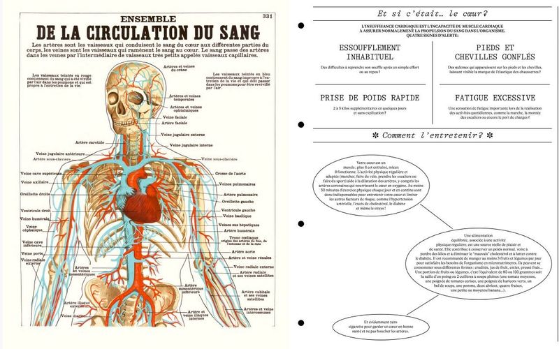 Expo: Les planches d'anatomie s'exposent au château de la Bourdaisière