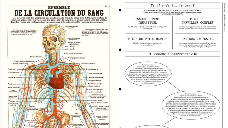 planche-anatomie-sang