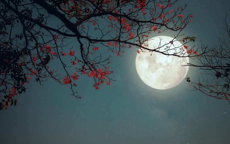 Pleine Lune: mercredi 5 novembre, ne loupez pas la super Lune du Castor!