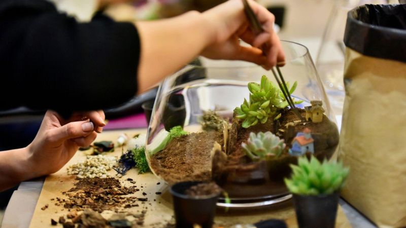 Quel est le meilleur terrarium a choisir en 2025 ?
