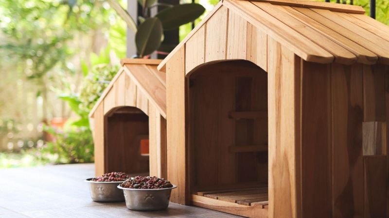 Quelle est la meilleure niche pour chien à choisir en 2025 ?