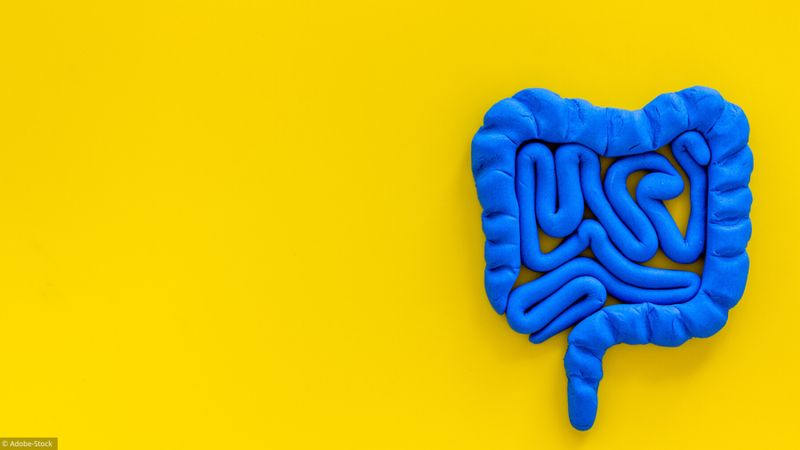 Quiz: que savez-vous de votre intestin?