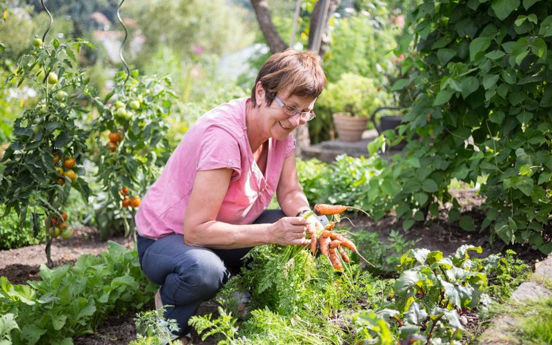 Jardiner sans trop dépenser
