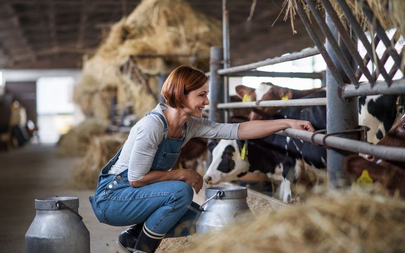 Les clés pour comprendre: le concours général agricole, l'excellence récompensée
